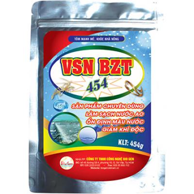 VSN BZT 454